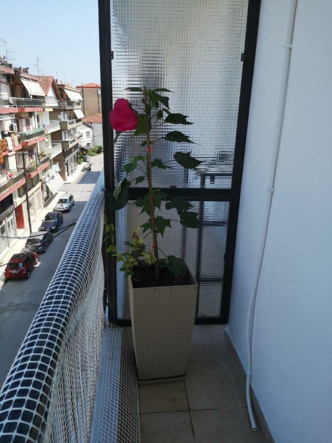 Ferienwohnung Alexandros Aridaía Exterior foto